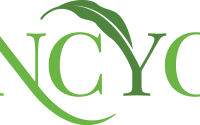 2016 National Corn Yield Contest Results
