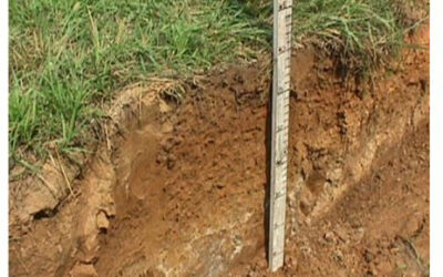 Dissolving the Soil Fragipan could Grow Kentucky Farmer Income by $0.5 Billion Annually