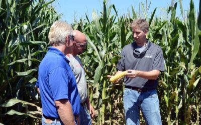 New Membership Program Grows Investment in UK Grain and Forage Center of Excellence