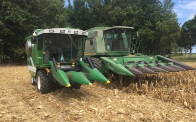 2018 Kentucky Corn Variety Trial Results Available