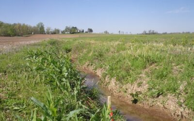 Corn Growers Statement on WOTUS Rule