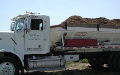 Maximizing Value: Spring Application of Broiler Litter for Grain Crop Production