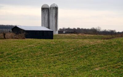 UK ag economists offer info for farmers dealing with financial challenges