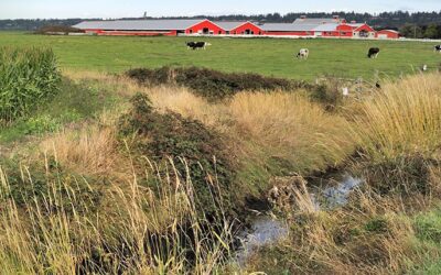 NCGA Submits WOTUS Comments