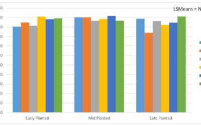 Research Report: Effect of in-furrow fungicides on corn seedling diseases and yield