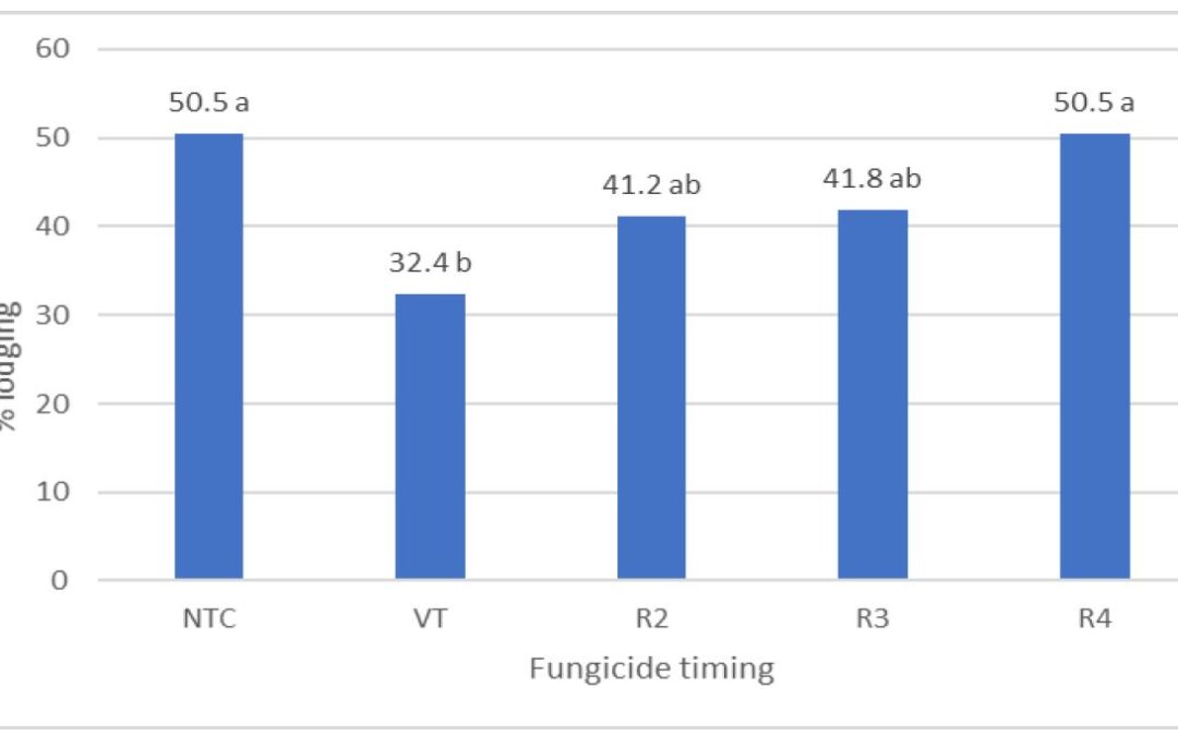Research Report: Impact of fungicide timing on standability and southern rust management in Kentucky corn