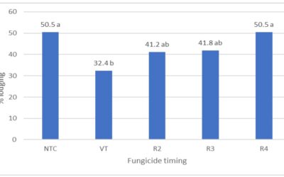 Research Report: Impact of fungicide timing on standability and southern rust management in Kentucky corn