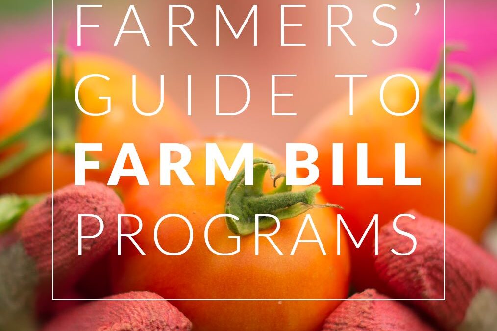 New Farm Bill Guide and Resources Available