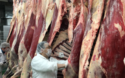 Heartland Mission Strengthens Red Meat Trade Relationship in Japan