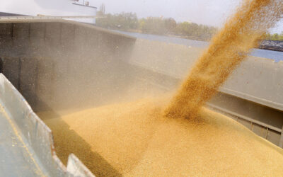 U.S. Grains Council Sends Letter To Global Grain Customers