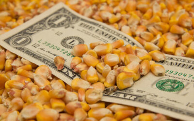 NCGA Analysis shows $50 per acre revenue declines for corn due to COVID-19
