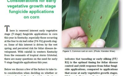 Corn and Soybean News – June 2020 Issue