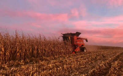 Fields of Corn Photo Contest is Taking Entries Through November 30