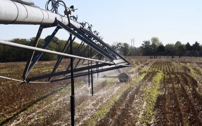 UK begins on-farm variable rate irrigation research