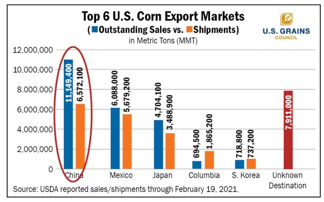 China’s Corn Appetite Fuels Record Sales,  A Boost For Farmers