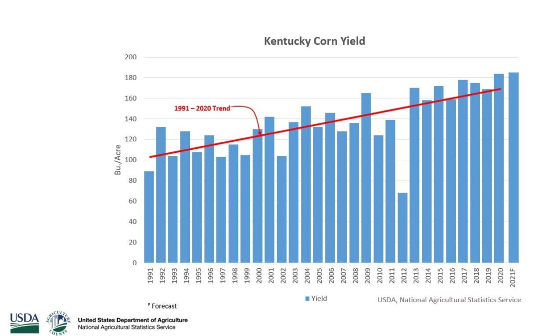 Kentucky Expecting Big Crop Harvests