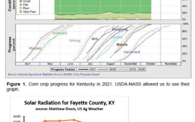 2021 Corn Extended Growing Season in Kentucky