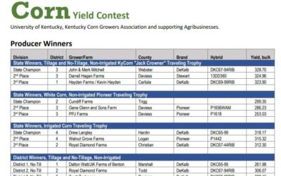 2021 Kentucky Corn Yield Contest Winners