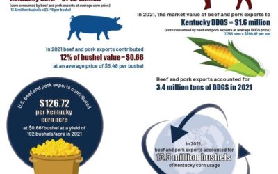 Red Meat Exports Deliver Value Back to Corn and Soybean Producers, Says Study