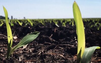 Breaking New Ground with Yield Contest’s Newest Opportunity
