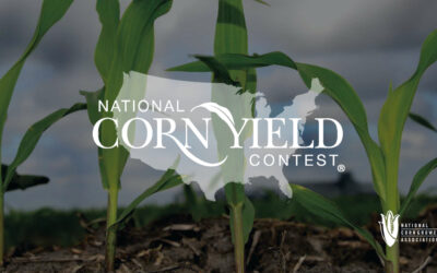 Creating a Legacy of Life-Long Learning with the 2023 National Corn Yield Contest