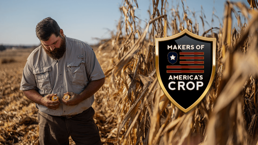 Kentucky Corn Grower Places 1st in National Corn Yield Contest Category