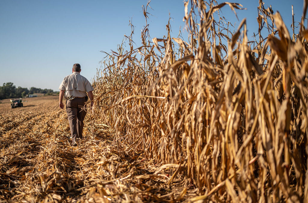 Building Global Markets for Kentucky Corn Farmers: Three Facts You Should Know