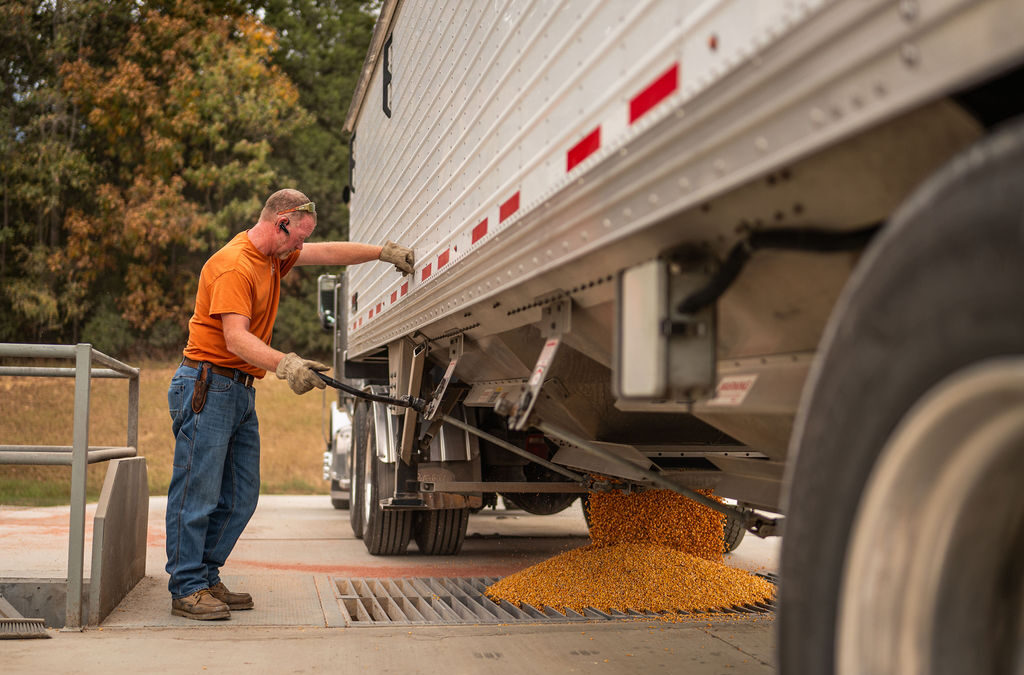 Results for 2025 Kentucky Extension Corn Yield Contest Announced