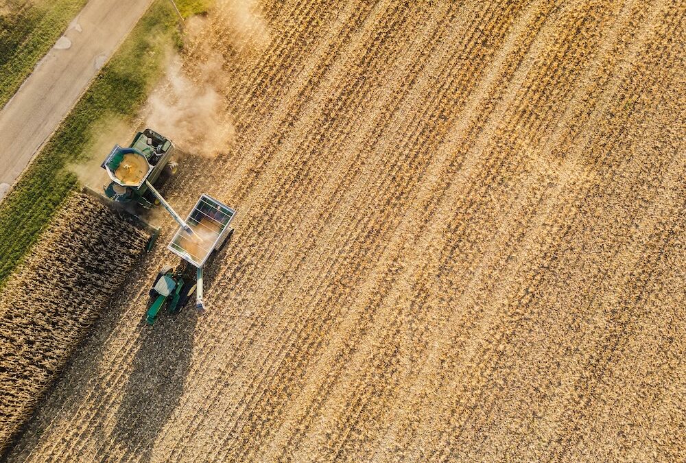 KY Corn Hiring Communications Director