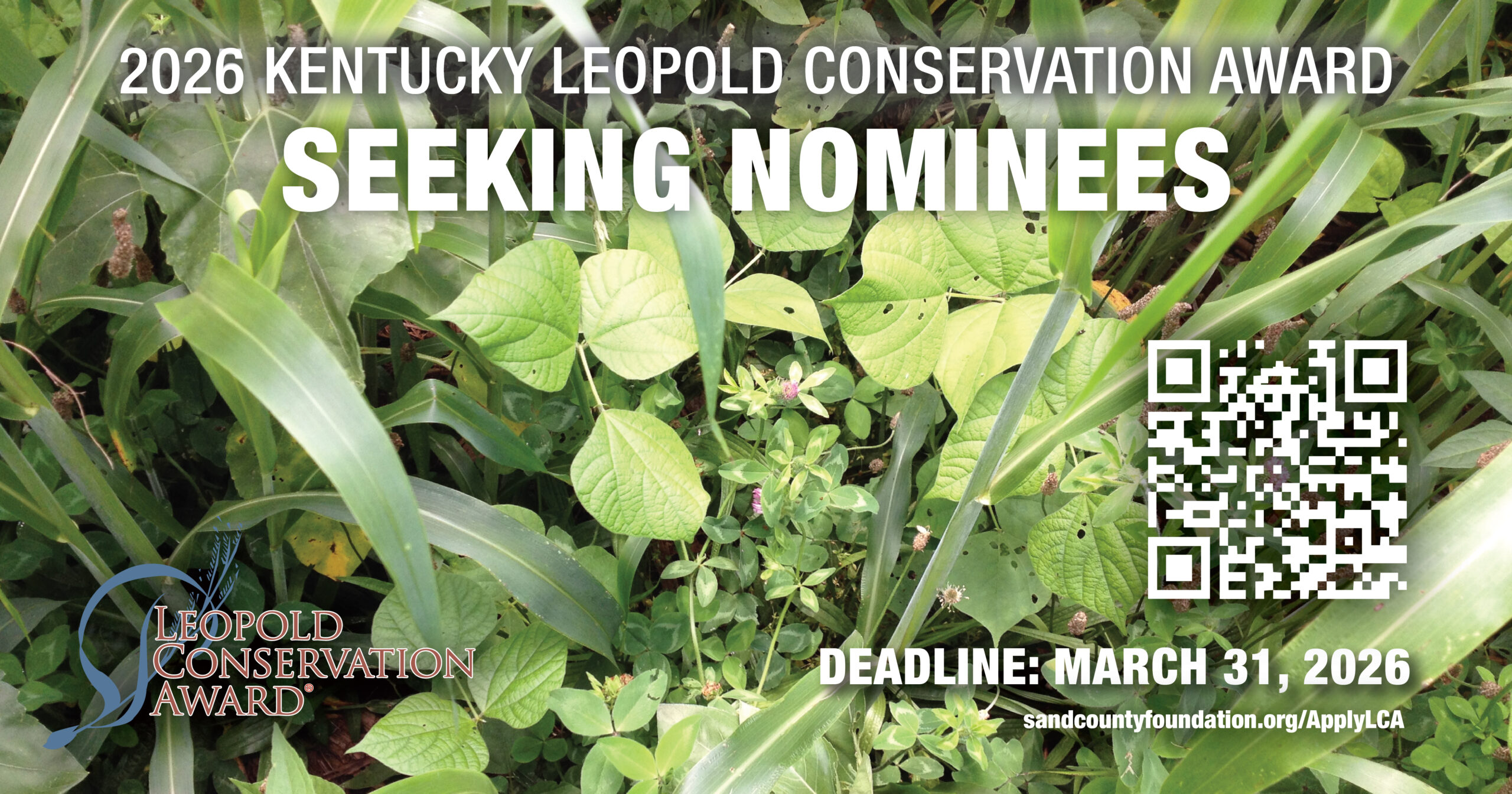 FB-LeopoldConservationGraphic