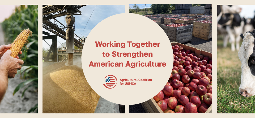 USMCA a powerful economic engine for rural America, report shows