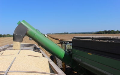 US Corn Provides Most Value for International Customers