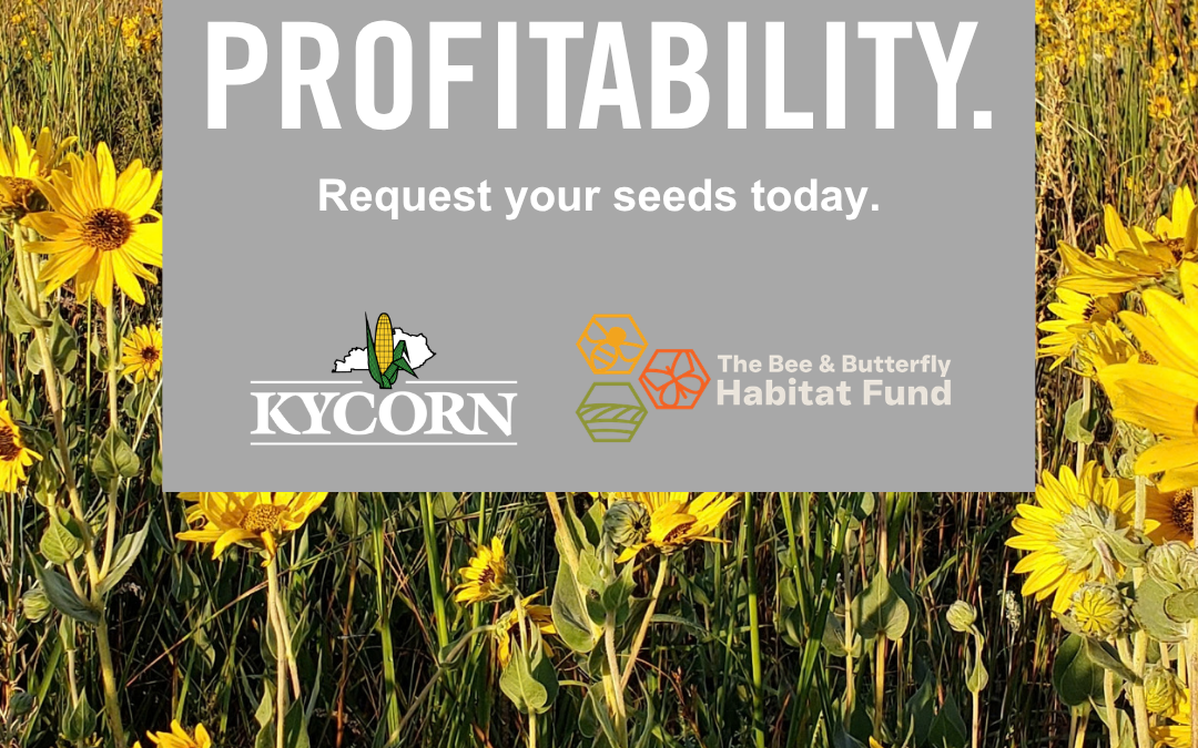 Free pollinator habitat seed mixes available through KY Corn partnership