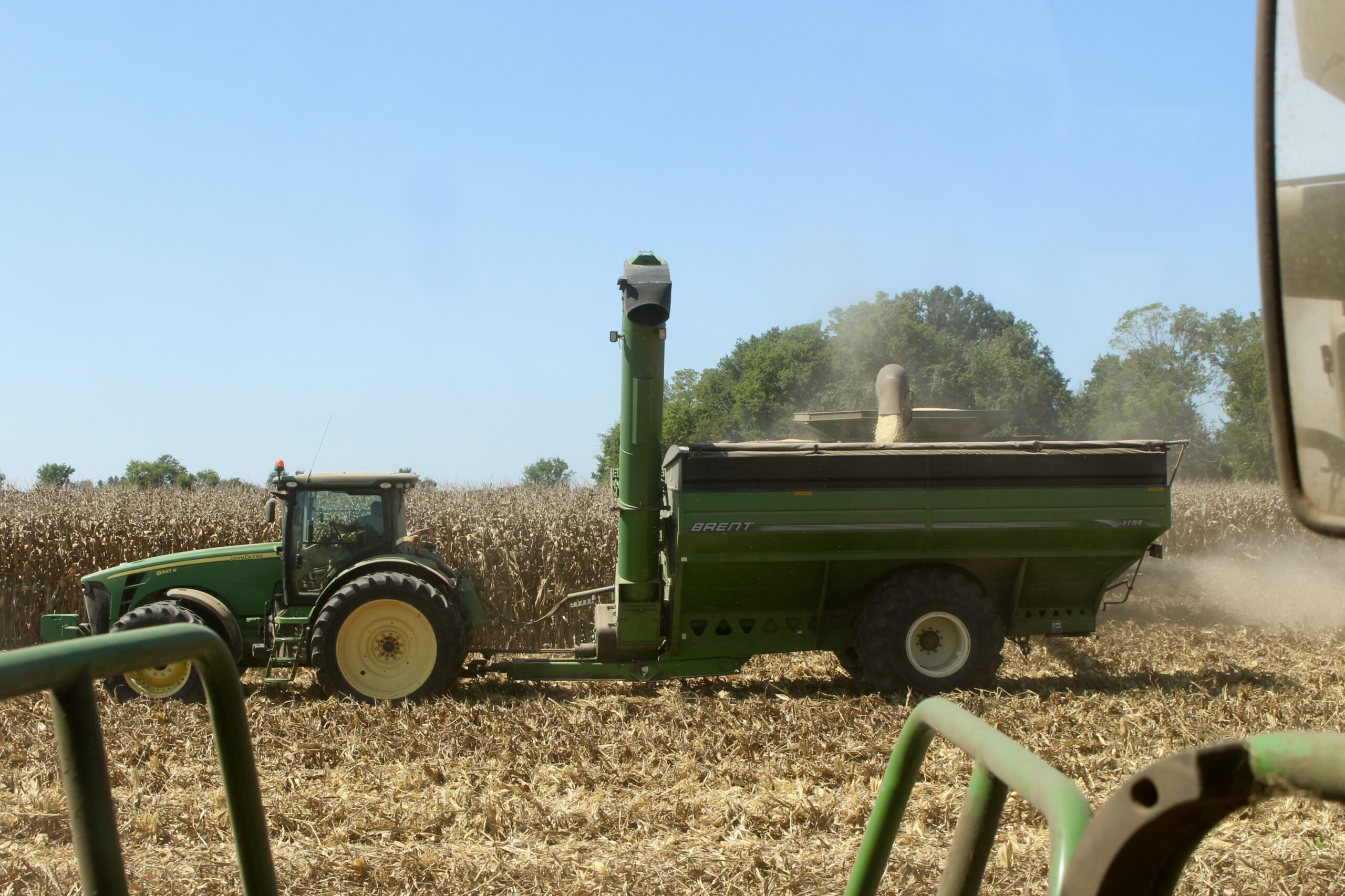Grain cart in a corn field.