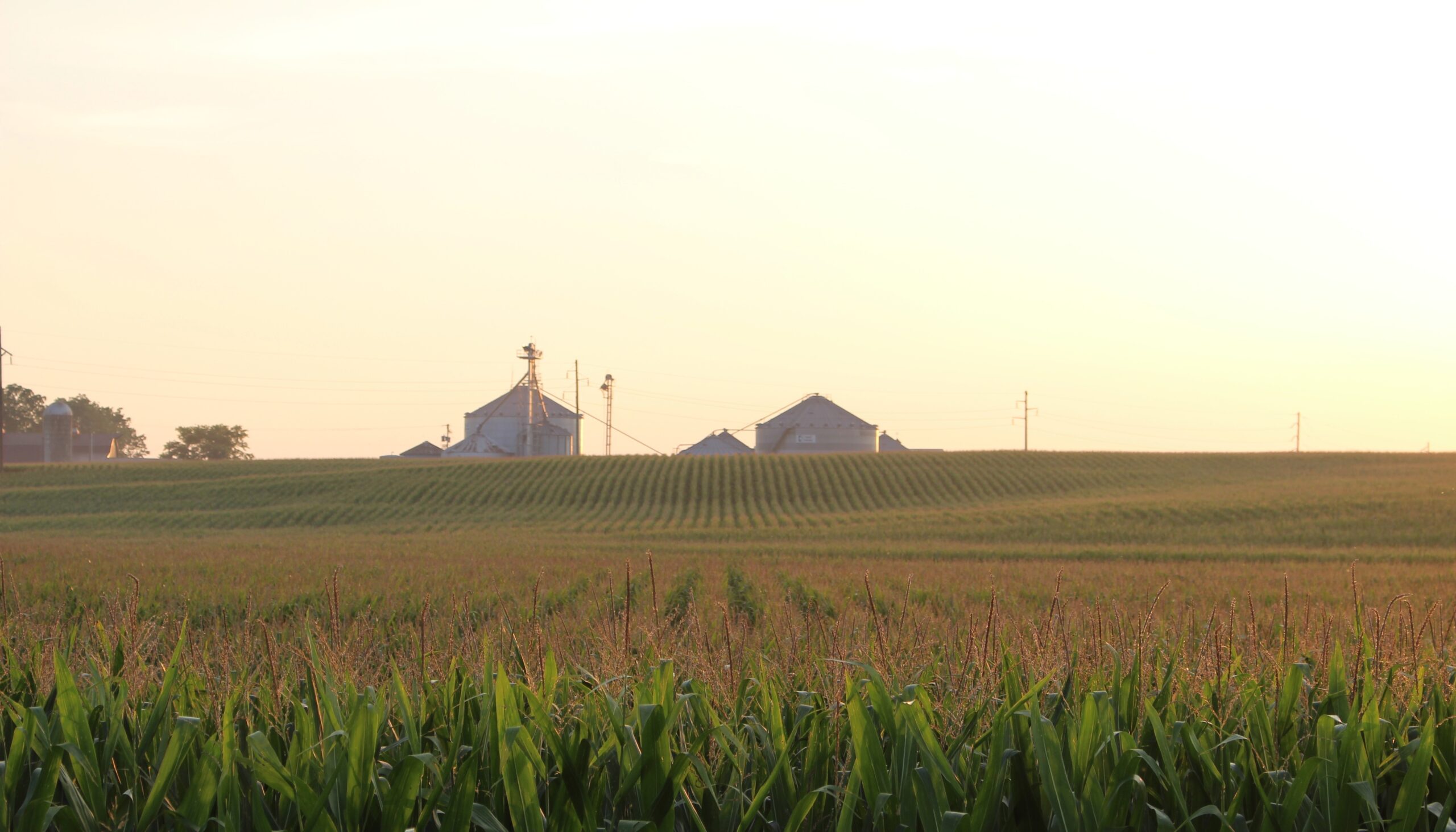 cornacres